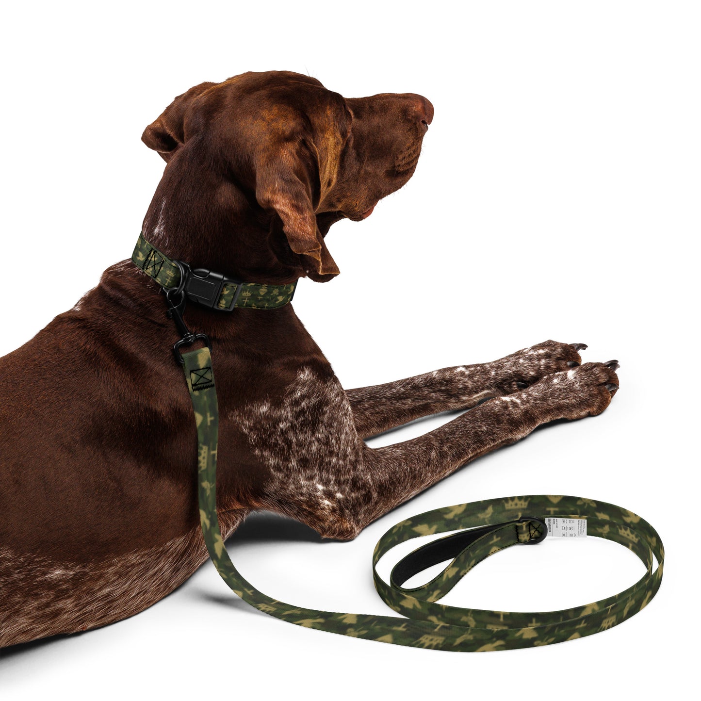 Iconic - Pet Collar & Leash