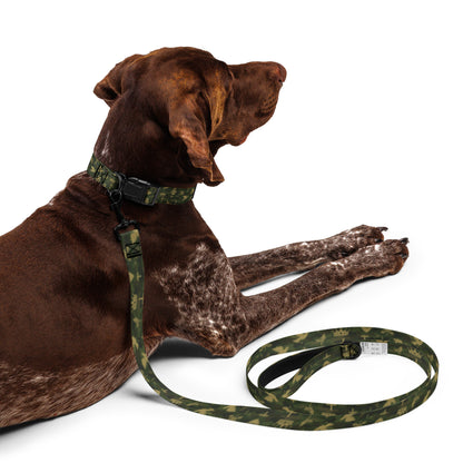 Iconic - Pet Collar & Leash